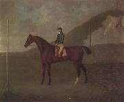 John Nost Sartorius 'Creeper' a Bay colt with Jockey up at the Starting post at the Running Gap in the Devils Ditch,Newmarket oil painting on canvas
